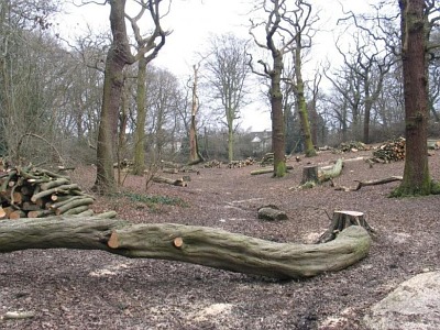 Queens Wood immediately after completion