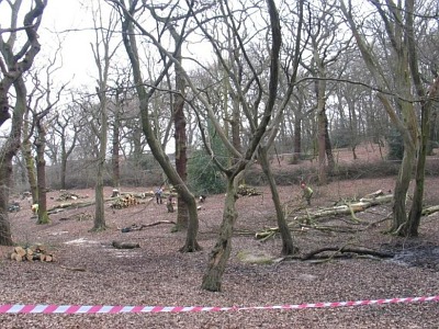 Work in Progress at Queens Wood